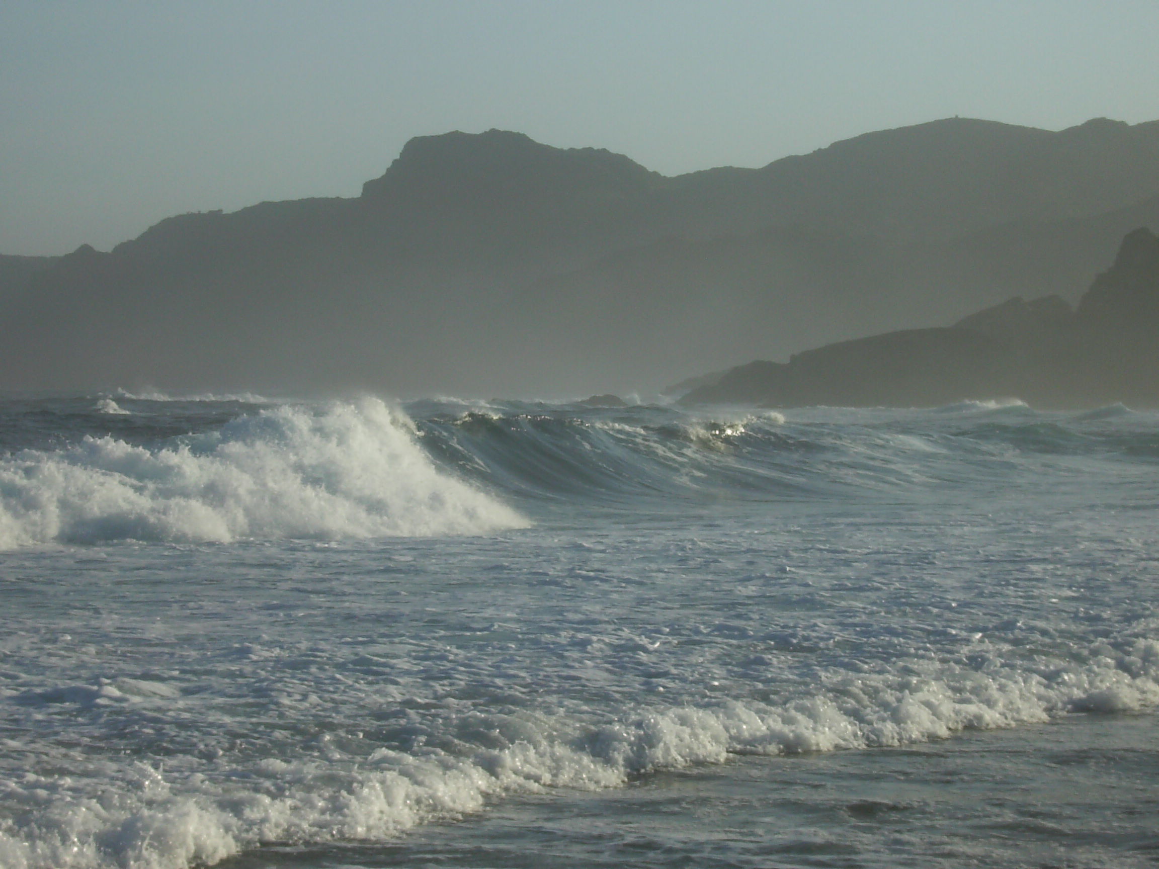 surfing in sardinia